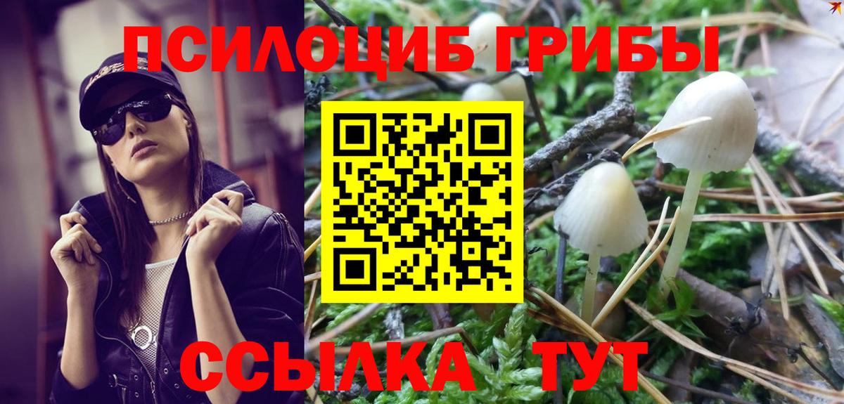 Псилоцибиновые грибы прущие грибы  Вход с VPN  Фурманов 