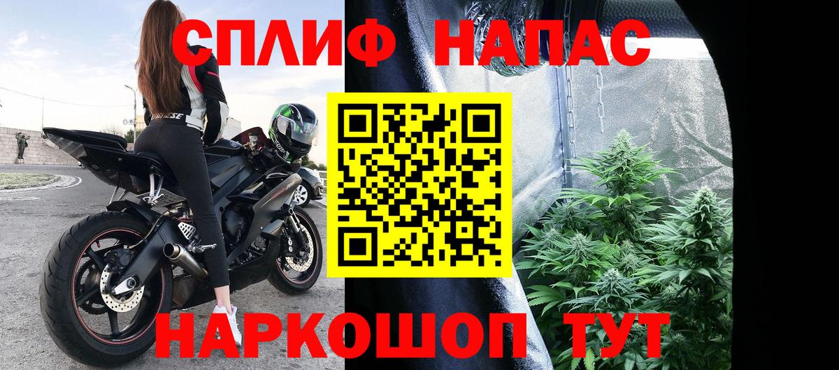 Марихуана гибрид Фурманов